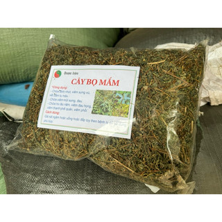 Combo 10kg Bọ mắm khô ( dòi thân tím ) sạch mới LOẠI 1