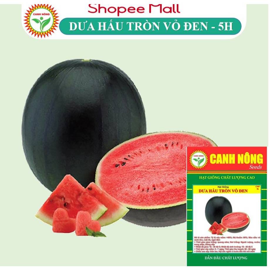 Hạt giống Dưa Hấu Tròn Vỏ Đen (5 hạt) trái to, dài, ruột đỏ, ngọt, kháng sâu bệnh, trồng quanh năm - Hạt giống CANHNÔNG