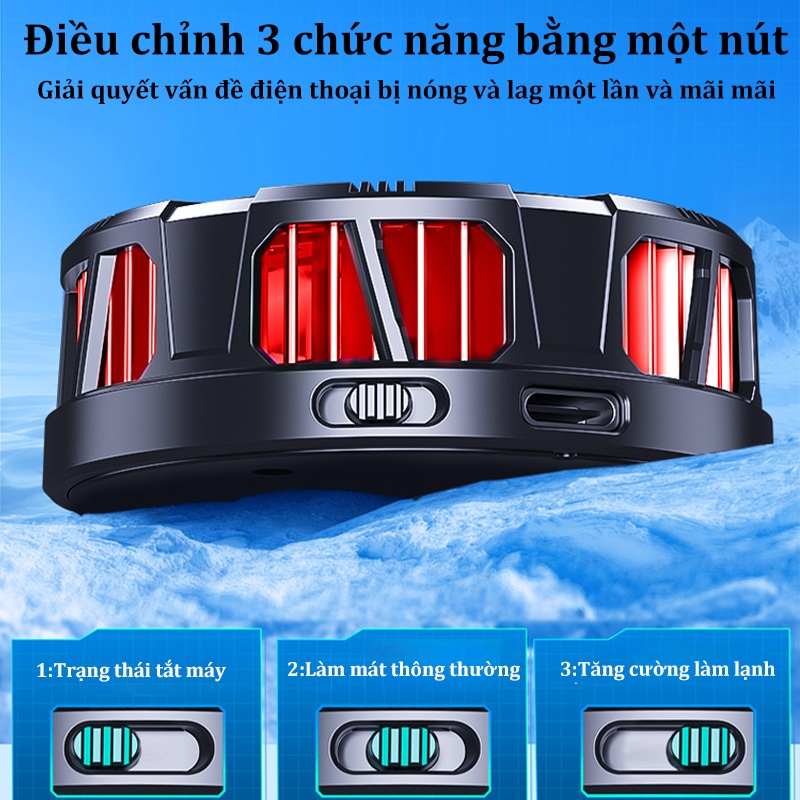 Ảnh 2