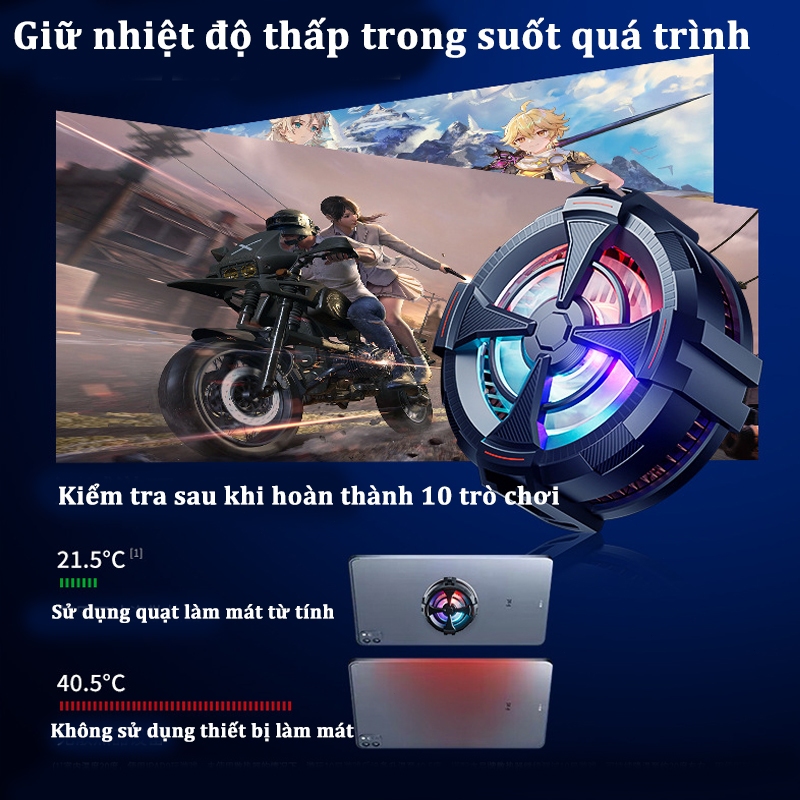 Ảnh 5