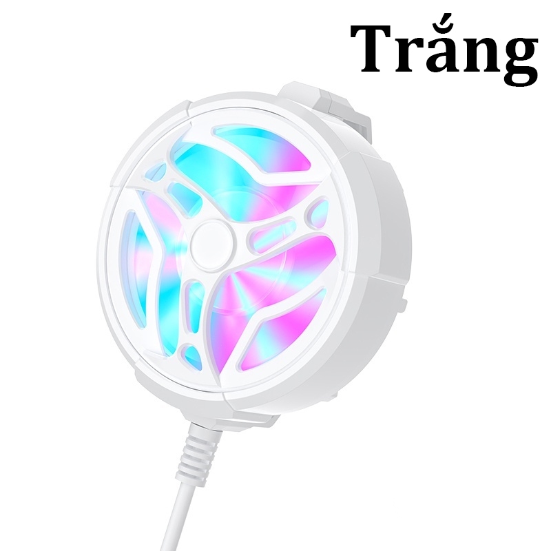 【Loại 3】AL01-Trắng