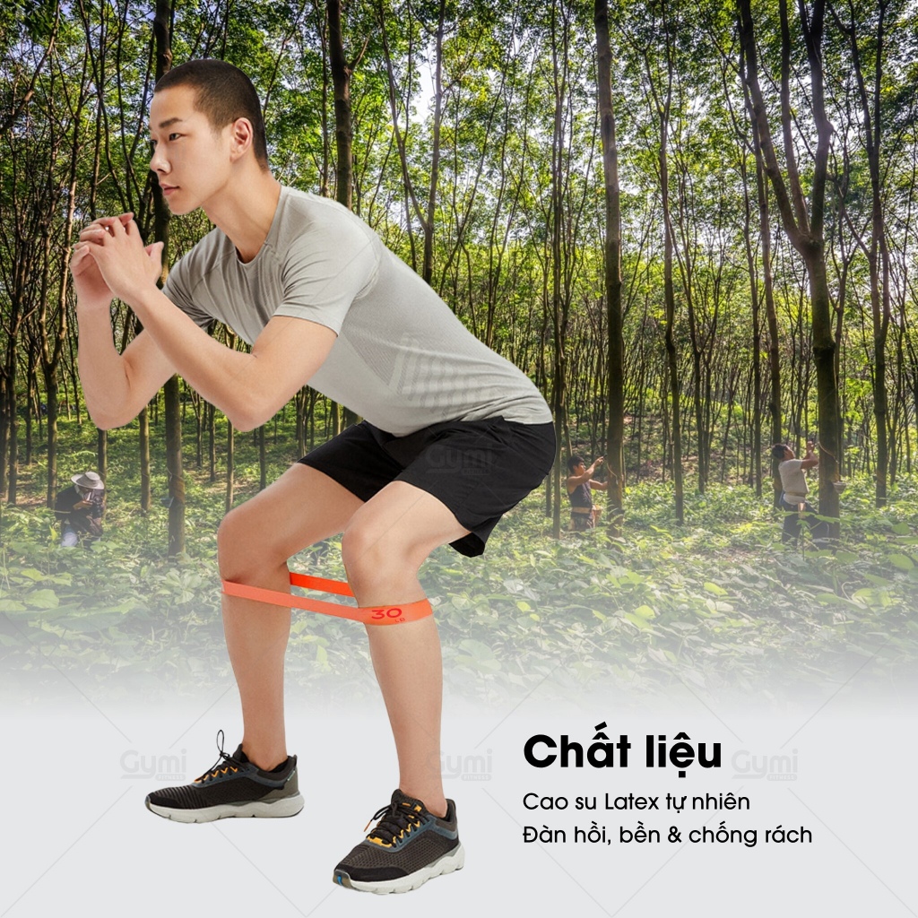 Dây Kháng Lực Miniband Aolikes 3619 (Version 2023) Cao Su Latex Cao Cấp Hỗ Trợ Tập Gym, Độ Mông Đùi - AL3619