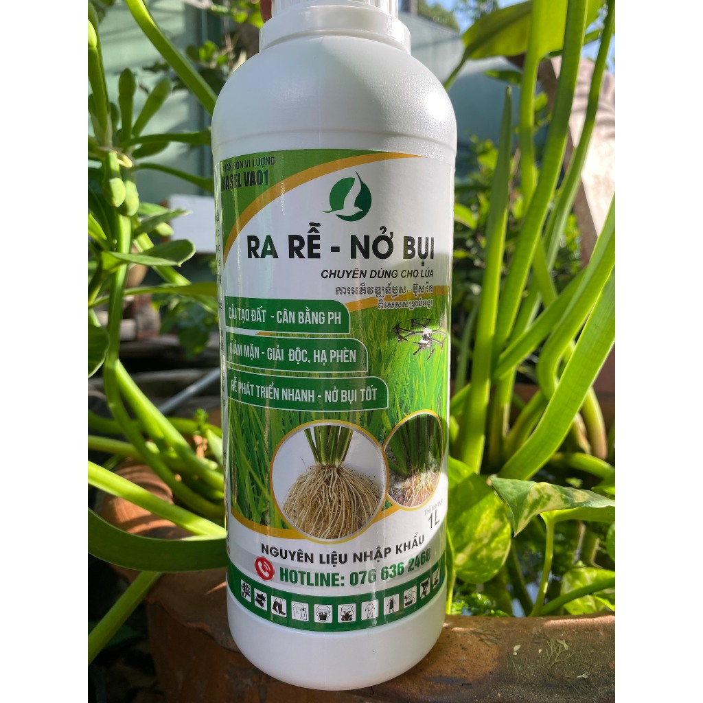Phân bón RA RỂ - NỞ BỤI Lúa 1L - Kích rễ lúa, bụi to, cứng cây, phát ...