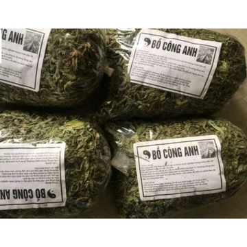 1Kg Bồ Công Anh thanh nhiệt, hỗ trợ u bướu, tắc tia sữa