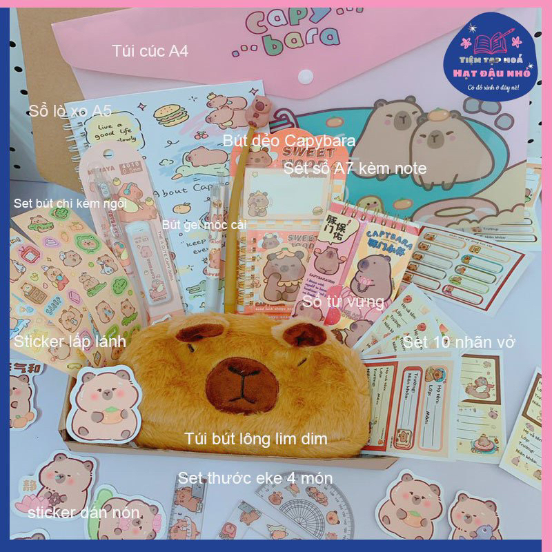 [CAPYBARA BOX STATIONERY] - Set đồ dùng học tập Capybara - chuột lang ...