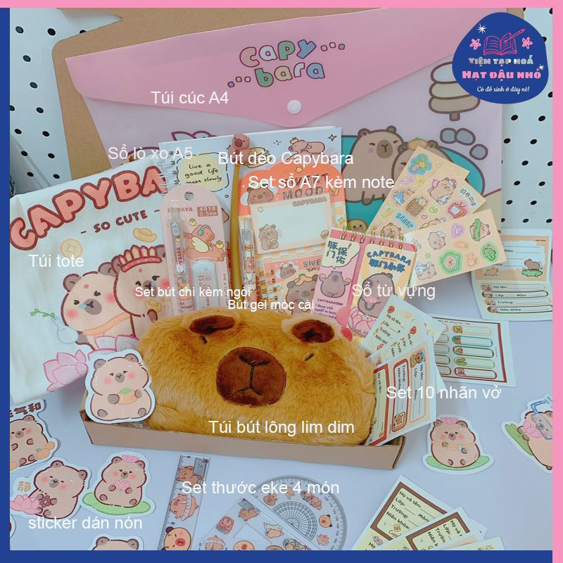 [CAPYBARA BOX STATIONERY] - Set đồ dùng học tập Capybara - chuột lang ...