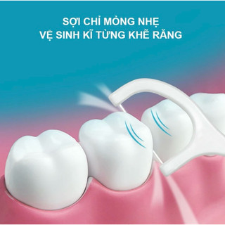 Hộp Tăm Chỉ Nha Khoa 50c Chăm Sóc Răng Miệng Không Xoay Siêu Mịn