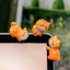 Set 8 mèo nhỏ dễ thương dán đỉnh màn hình, dán cốc, trang trí bàn làm việc, bàn học, quà tặng, taplo ô tô
