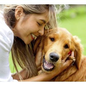 Dronta for dog (sản phẩm hỗ trợ tiêu hóa cho chó )