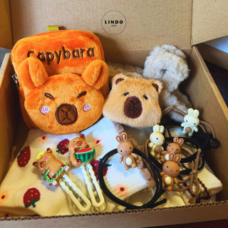 Quà Sinh Nhật LINDO, Set Quà Capybara Cute Tặng Bạn Gái Các Dịp Đặc Biệt, 8/3, 20/10, Valentine...