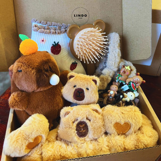 Quà Sinh Nhật LINDO, Set Quà Capybara Cute Tặng Bạn Gái Các Dịp Đặc Biệt, 8/3, 20/10, Valentine...