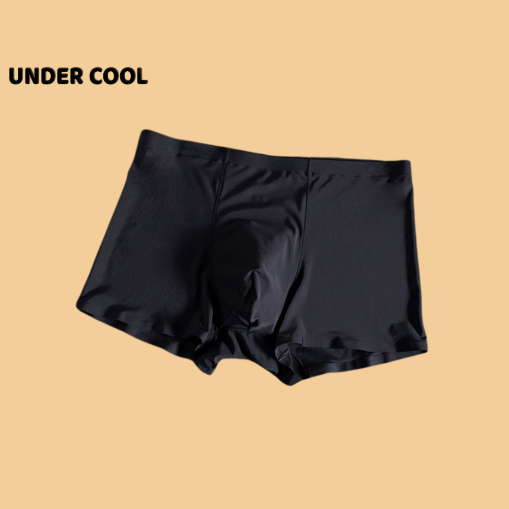 Quần Lót Nam Đùi Su Lụa UNDERCOOL Boxer Không Viền Màu Đen Xám Xanh than QLN01