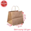 Combo 5 Túi giấy kraft Nhật siêu to có quai xách đựng quà tặng, hoa, đựng thực phẩm,đựng hộp cơm mang đi