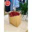 Combo 5 Túi giấy kraft Nhật siêu to có quai xách đựng quà tặng, hoa, đựng thực phẩm,đựng hộp cơm mang đi