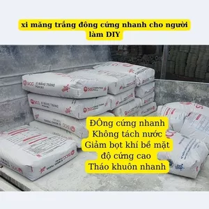 5Kg Tổng hợp thạch cao cường độ cao TA60 P3C Lao và xi măng trắng đông cứng nhanh