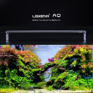 Đèn thuỷ sinh LEDSTAR AQ-S WRGB - Chỉnh App, đem đến trải nghiệm ánh sáng chân thực, giúp cây lên màu rực rỡ