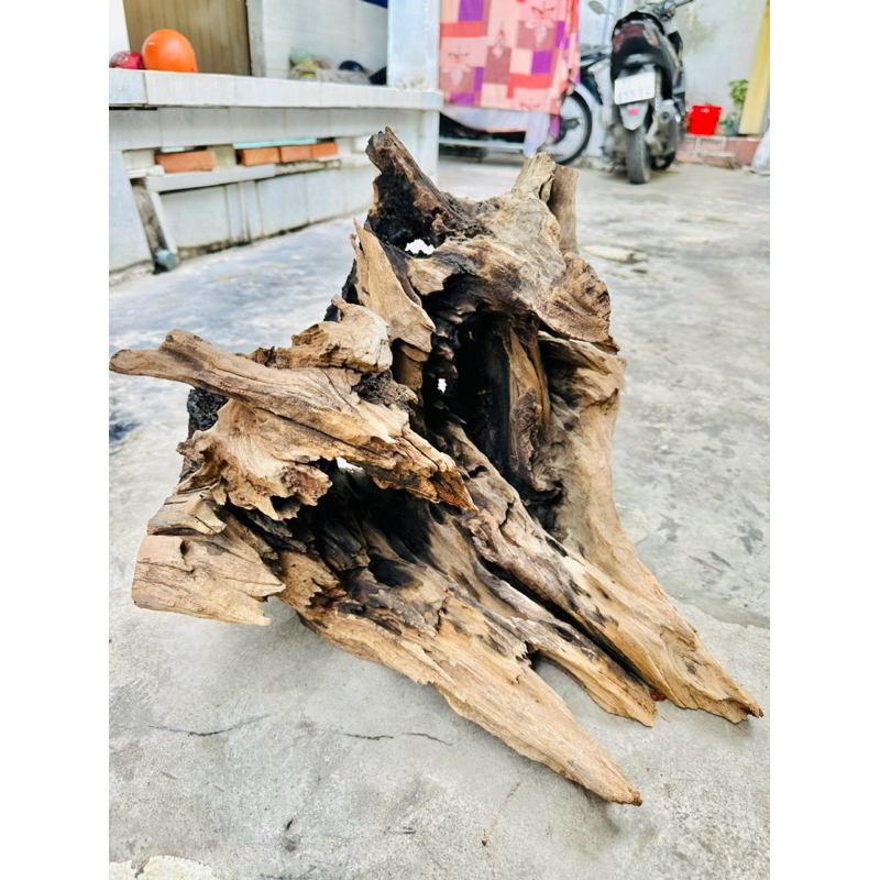 Lũa gỗ setup thuỷ sinh - Decor tiểu cảnh SHIP HOẢ TỐC TPHCM | Shopee ...