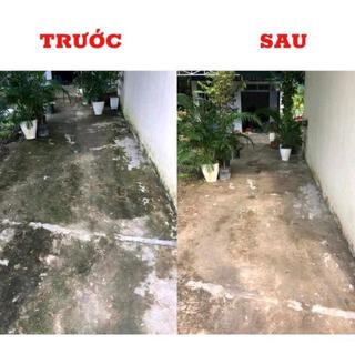 Bột Tẩy Rong Rêu Nhà Vệ Sinh 500g, tẩy sạch rong rêu bám trên nè xi măng, nền nhà