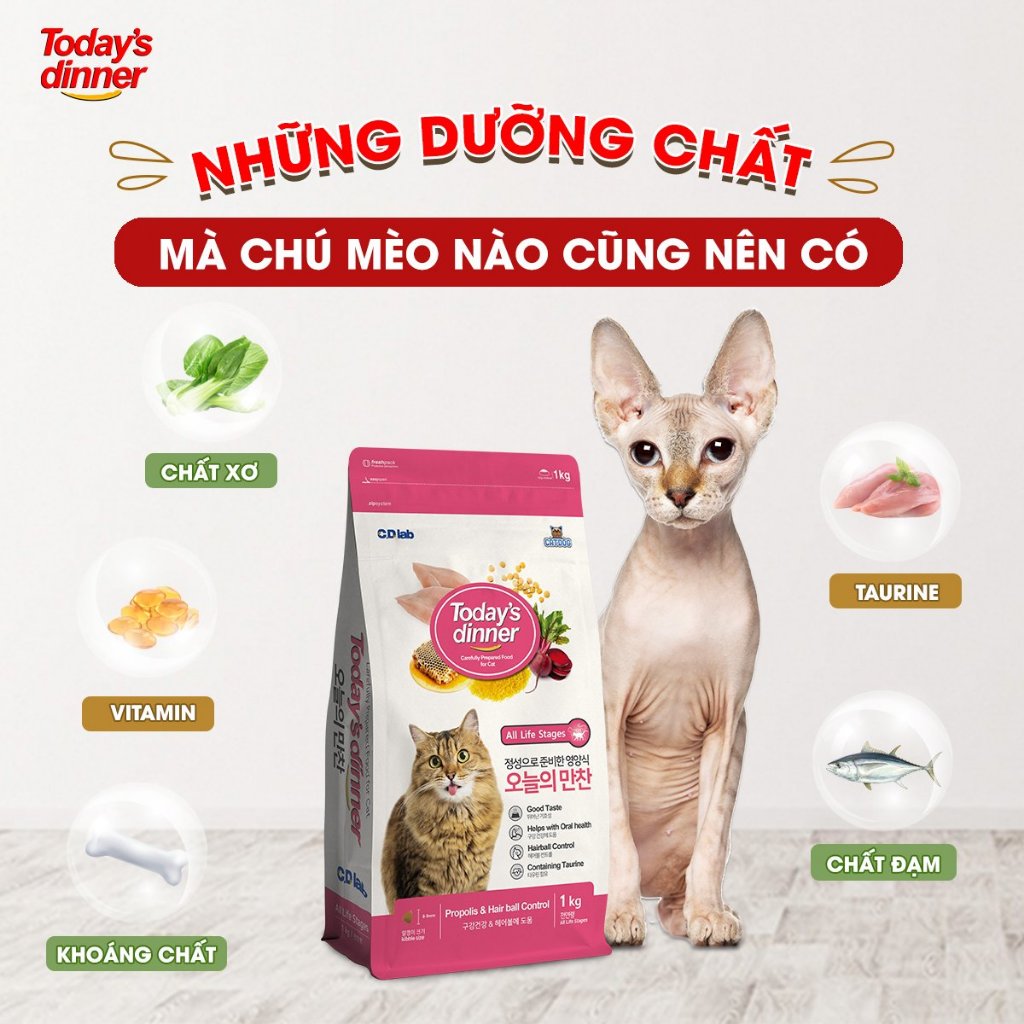 [1KG] TODAY'S DINNER - Thức ăn hạt cho Mèo Mọi Lứa Tuổi
