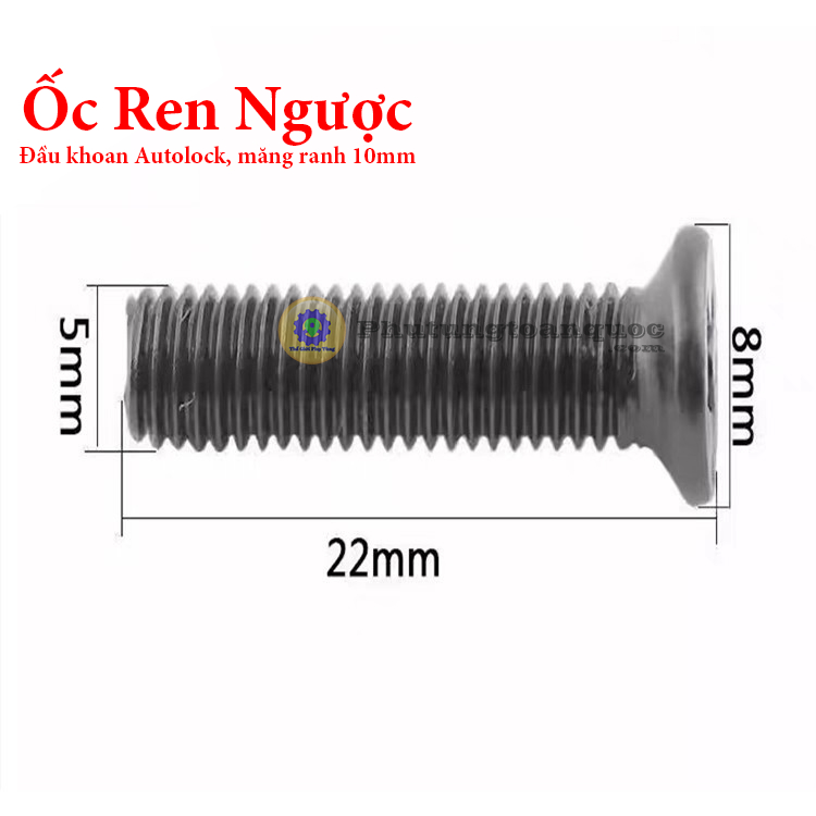 Ốc Ren Ngược 5mm Sử Dụng Cho Đầu Khoan 10mm Autolock, Đầu khoan Măng ...