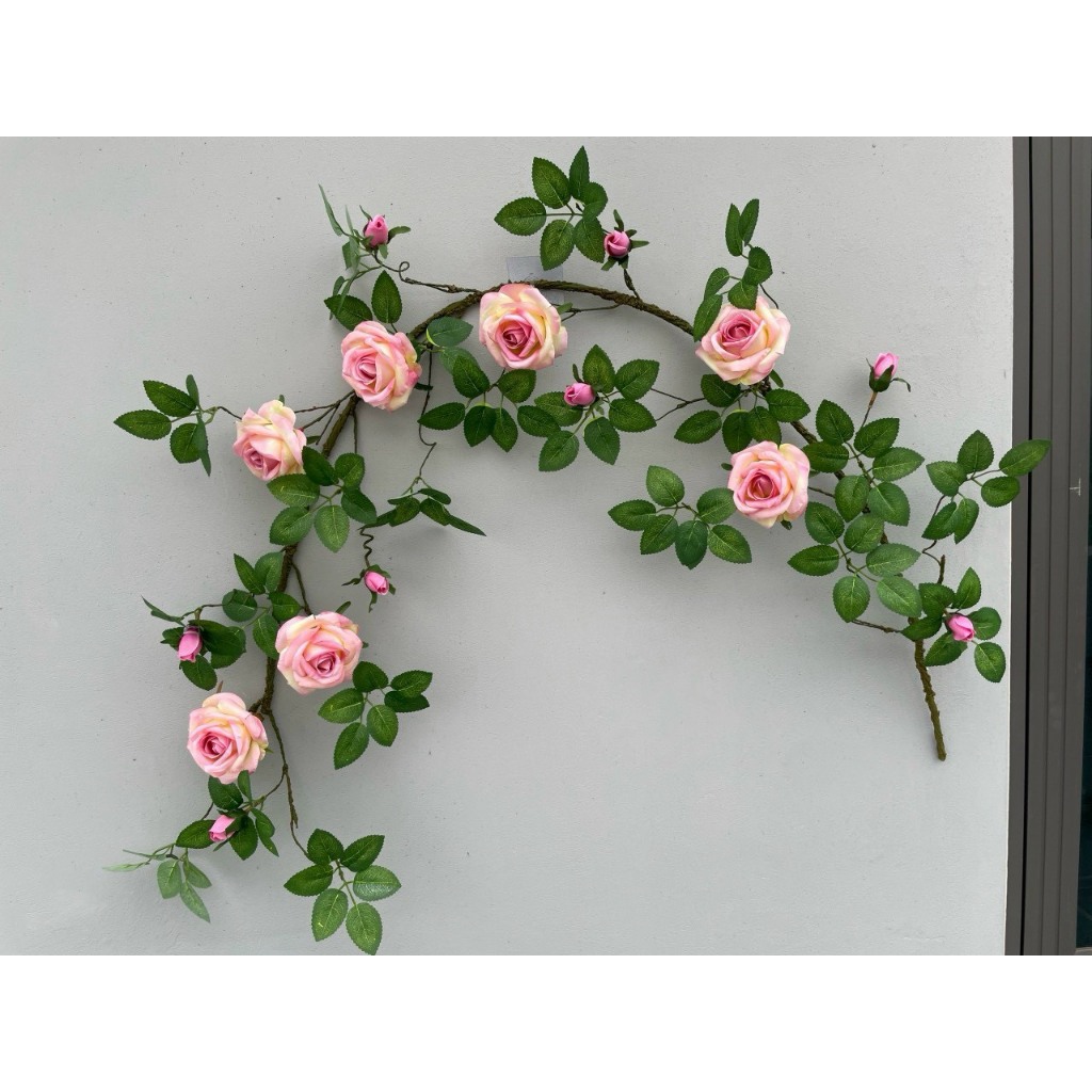 Dây Hoa Hồng Pháp Leo Cổ Dài 1m7 Thân Phủ Rêu Giống Thật , Hàng Cao Cấp ...