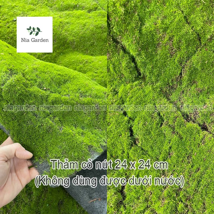 Thảm cỏ thảm rêu nhân tạo mini trang trí tiểu cảnh chậu cây terarium ...