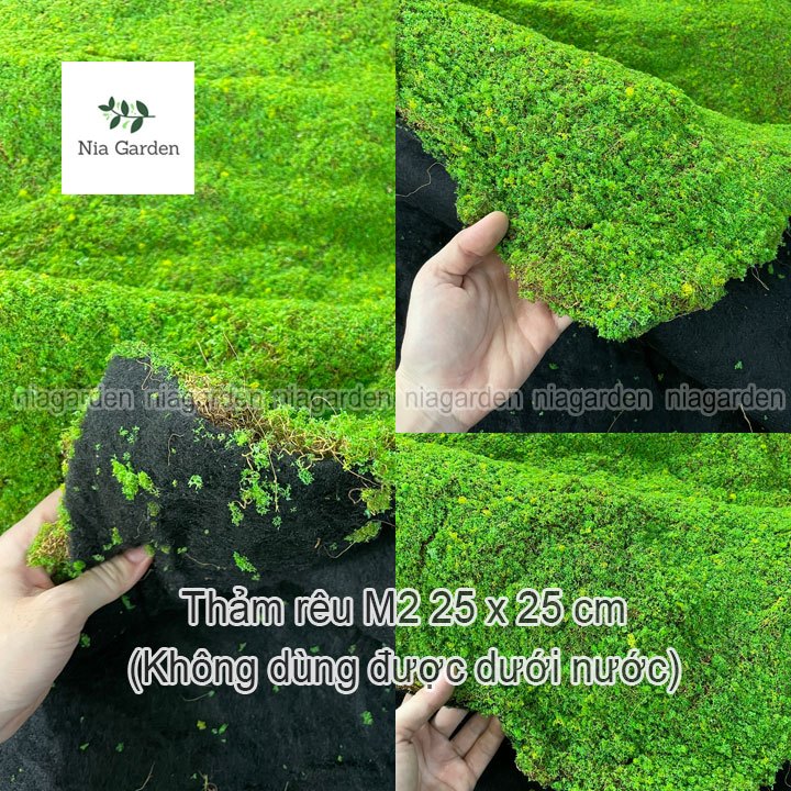 Thảm cỏ thảm rêu nhân tạo mini trang trí tiểu cảnh chậu cây terarium ...