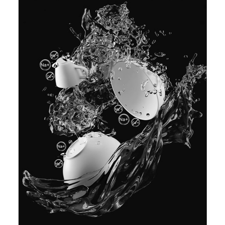 Máy Rửa Bát Xiaomi Mijia S10 16 Kết Nối App, Khử Khuẩn Sấy Khô - Hàng Nhập Khẩu A81