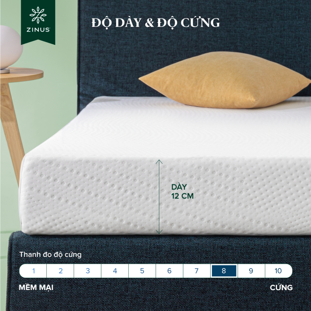 Ảnh Nệm Foam HD Bảo Vệ Cột Sống Dày 12cm Zinus - 5in Foam Mattress Extra 2