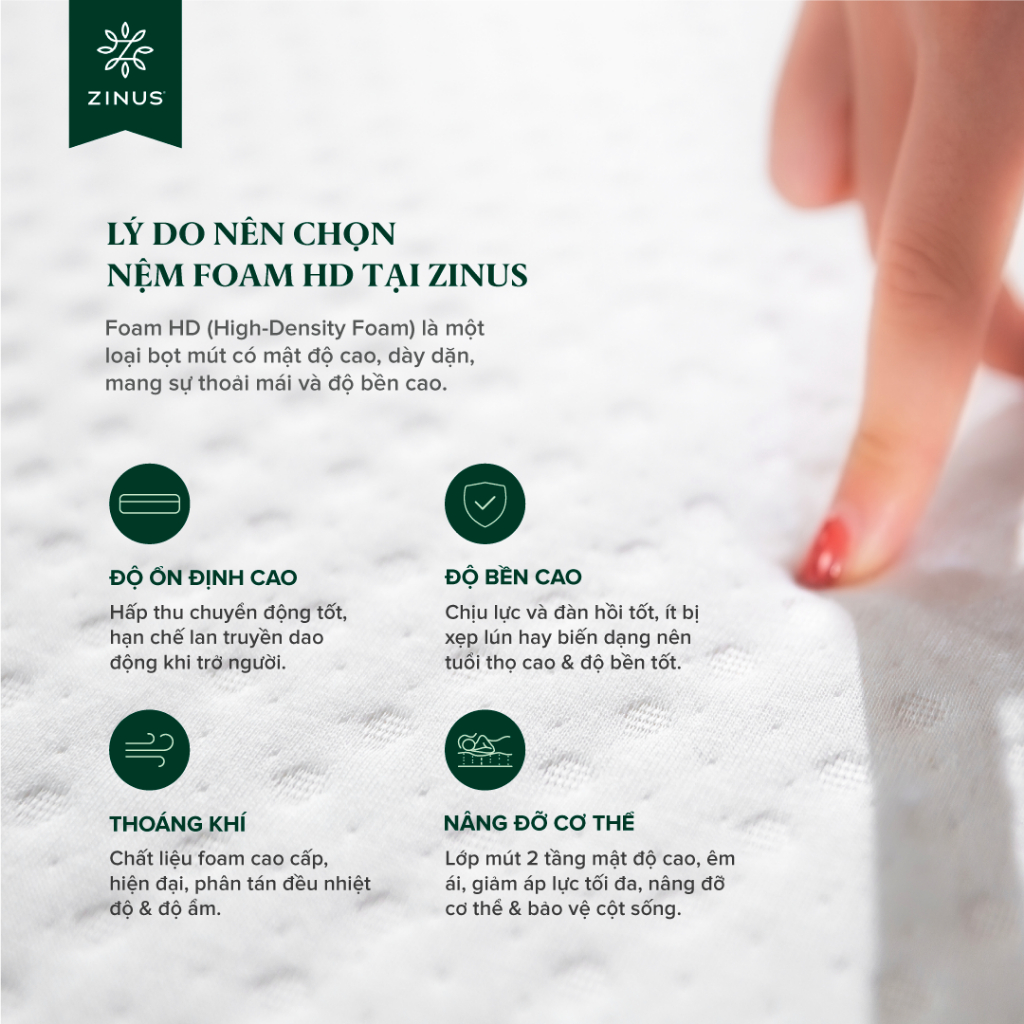 Ảnh Nệm Foam HD Bảo Vệ Cột Sống Dày 12cm Zinus - 5in Foam Mattress Extra 3