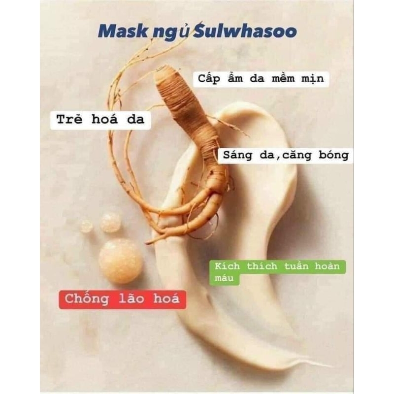 Mặt nạ ngủ nhân sâm SULWHASOO 35 ml