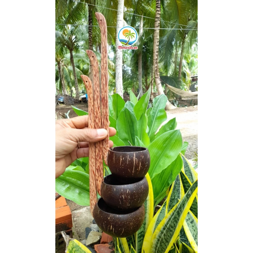 Gáo Múc Mật/ Nước/ Rựu Bằng Gáo Dừa Loại Cán Đứng - Phụ Kiện Trang Trí, Quà Tặng Handmade, Decor