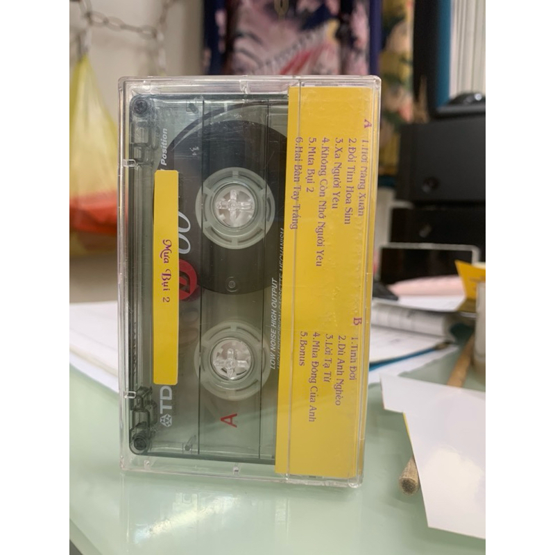 Băng Cassette Mưa Bụi 2 - Đình Văn, Tài Linh