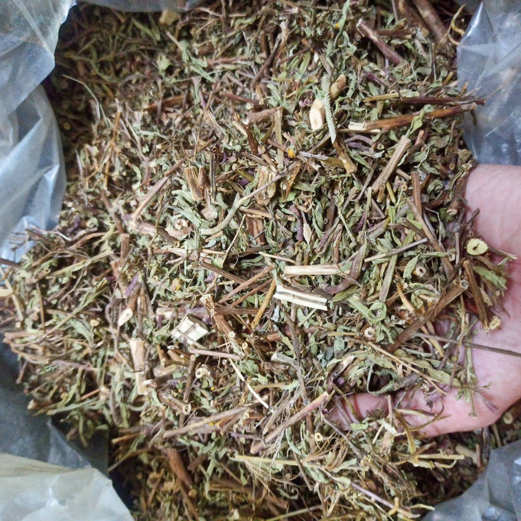 Cây Rau Mương khô
