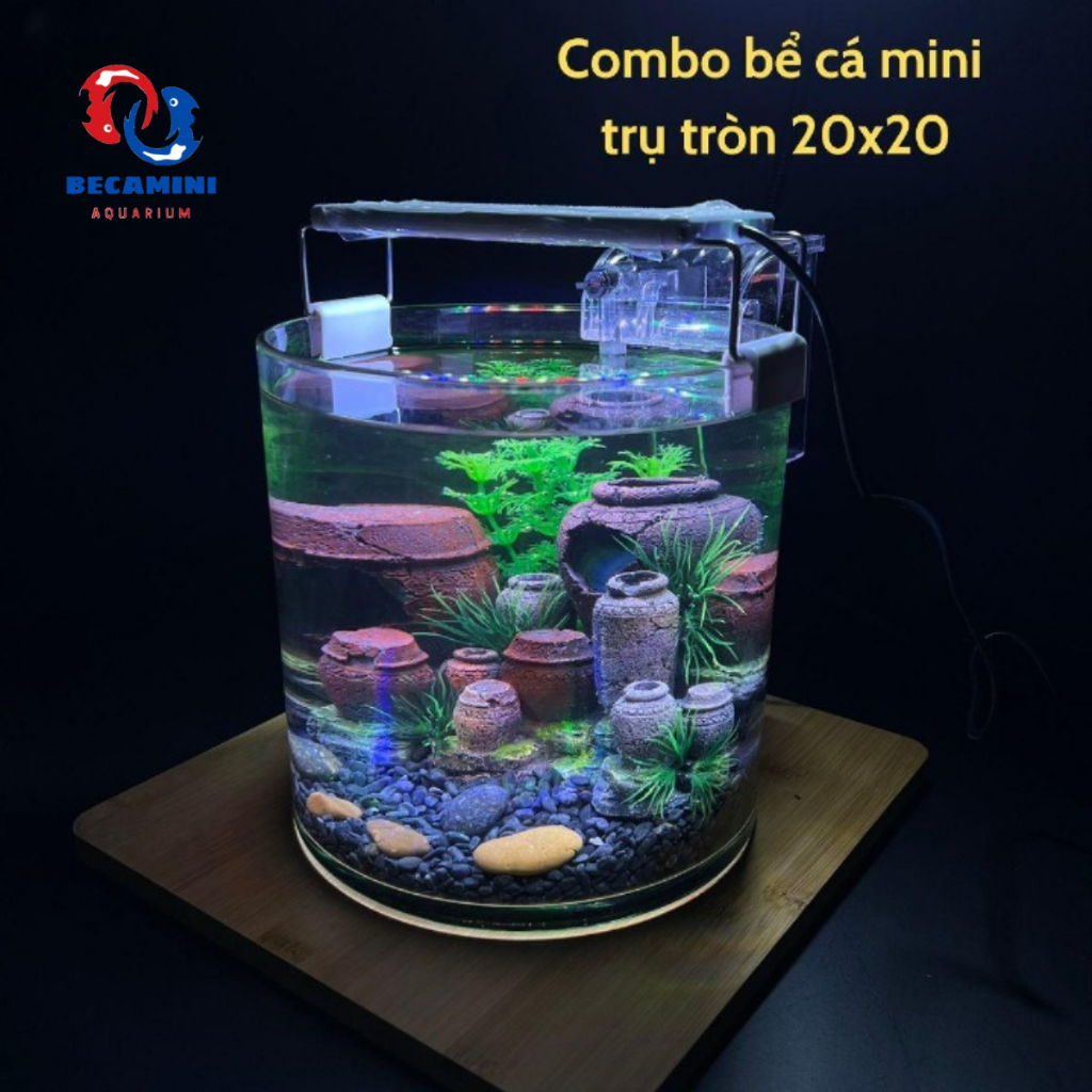 Bể cá mini để bàn COMBO kèm phụ kiện ( ống 20x20 ) | Shopee Việt Nam