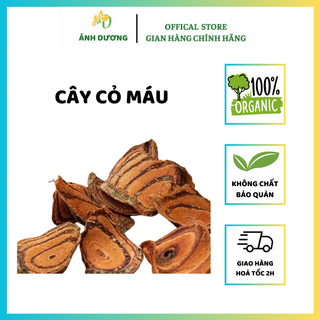 Kê Huyết Đằng | Cây Huyết Đằng Tăng Cân, Ăn Ngon, Ngủ Ngon
