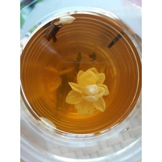 COMBO 5 TRÀ BẢO AN
