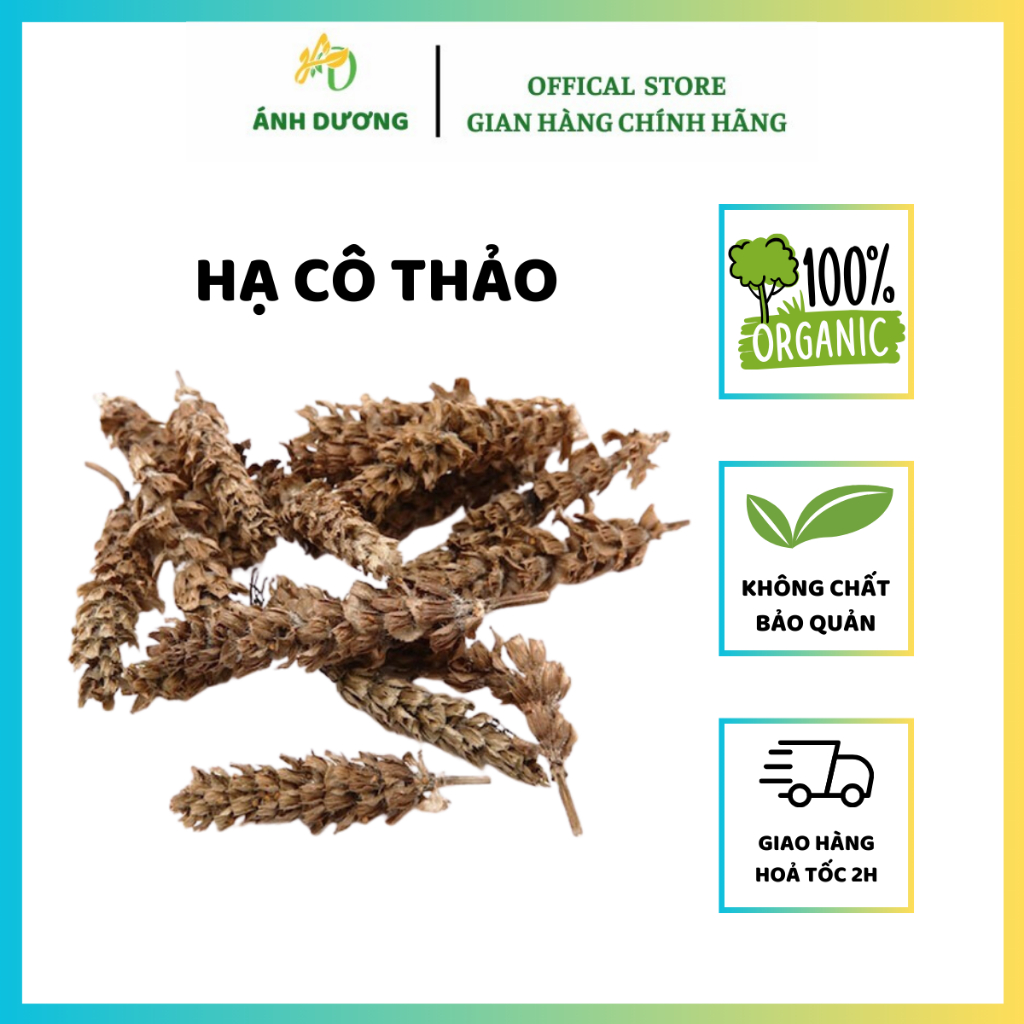 500GR Hạ Cô Thảo | Hạ Khô Thảo ( Khô, Sạch, Đẹp ) Loại 1