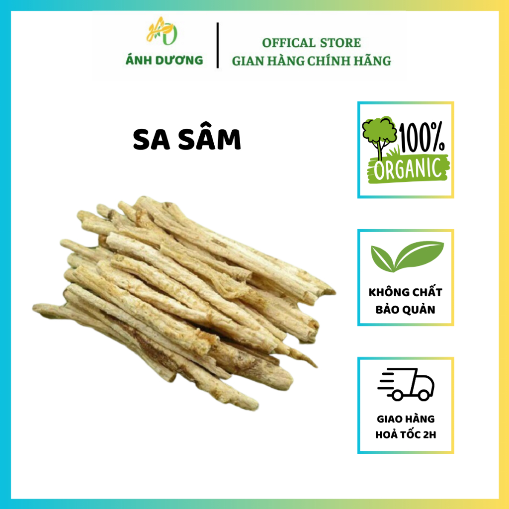 Sa Sâm ( Rễ Sa Sâm Bắc ) Khô, Sạch, Đẹp Loại 1