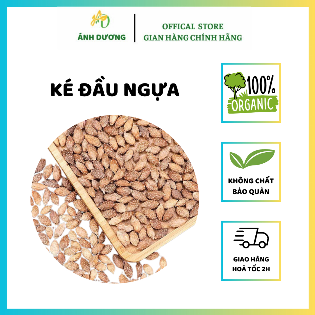 500GR Ké Đầu Ngựa ( Thương Nhĩ Tử ) Khô, Sạch, Đẹp Loại 1