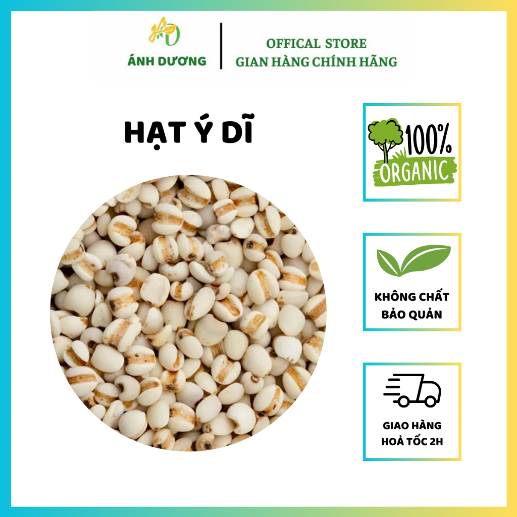 500GR Hạt Ý Dĩ, Y Dĩ, Hạt Bo Bo, Hạt To Dùng Để Nấu Chè, Cháo, Xôi Hàng Loại 1 Ngon, Ngọt