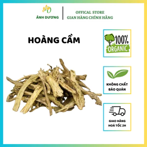 Hoàng Cầm Cây ( Khô, Thơm, Vàng )