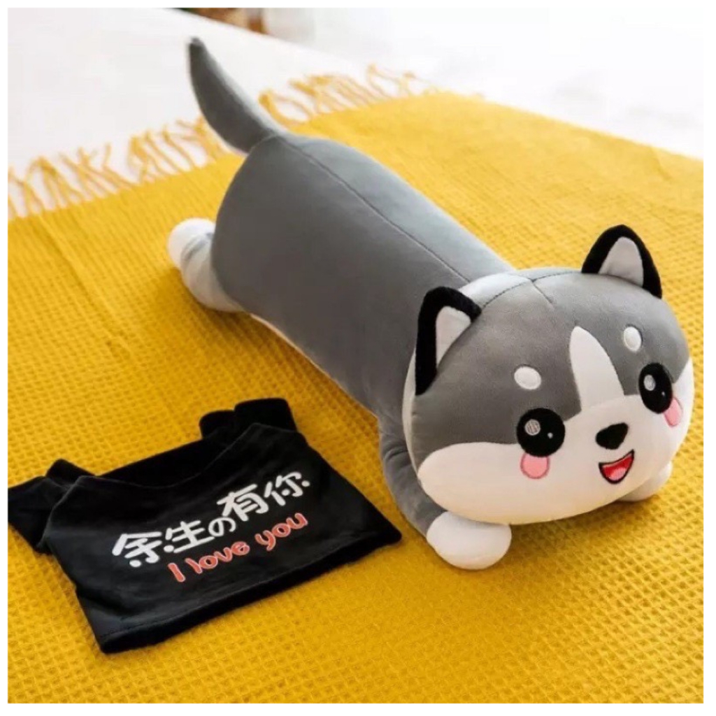 Gấu mèo bi xám, Gấu mèo Alaska 45cm đáng yêu, thú nhồi bông mềm mịn [freeship]
