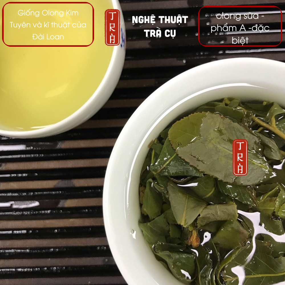 Trà Olong Sữa phẩm A đặc biệt của nhà trà Long Đỉnh - Lâm Đồng, 250gr túi hút chân không