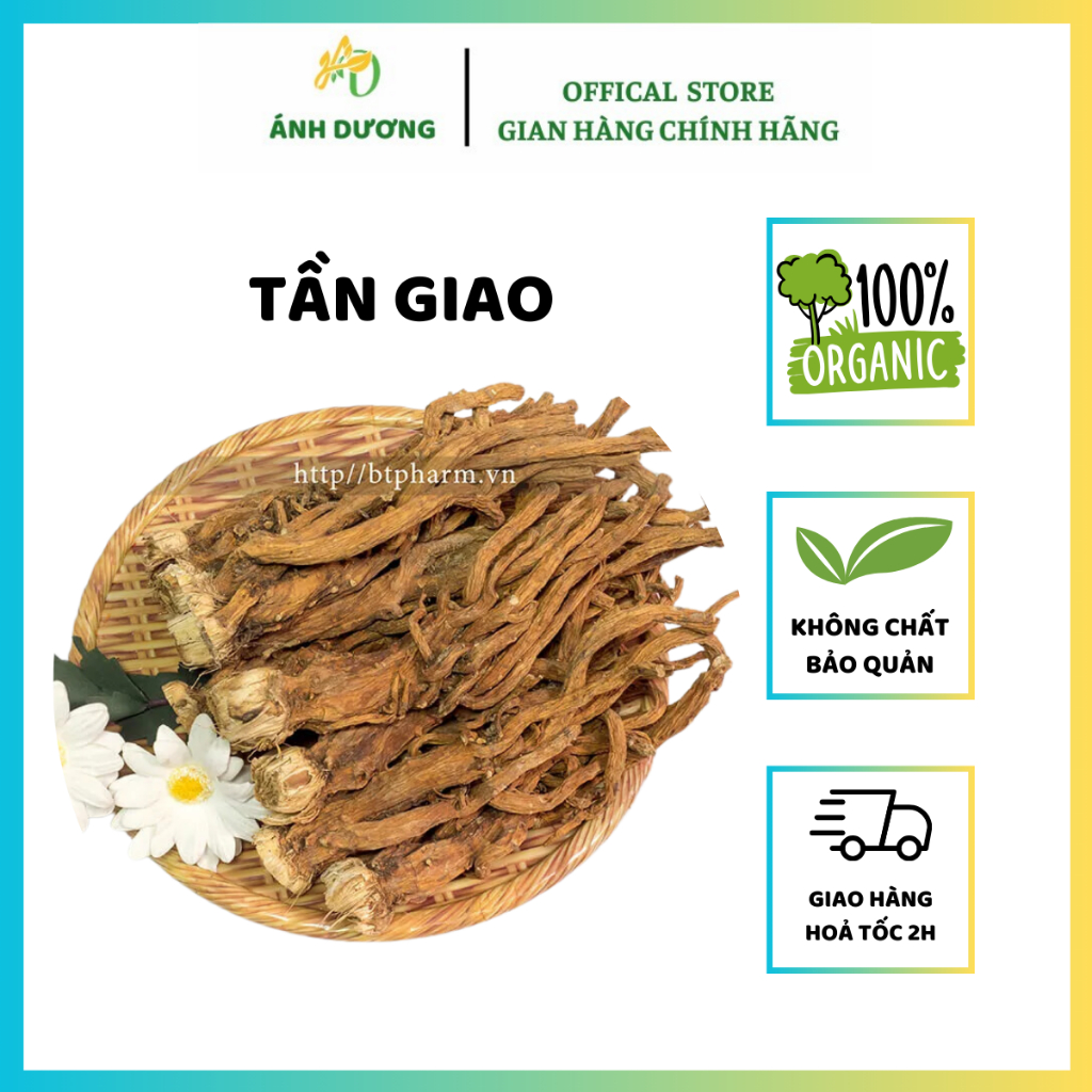 500GR Tần Giao Nguyên Củ Chuẩn Loại 1