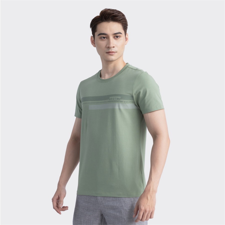 Ảnh ÁO T-SHIRT NGẮN TAY ARISTINO ATS012S3 4