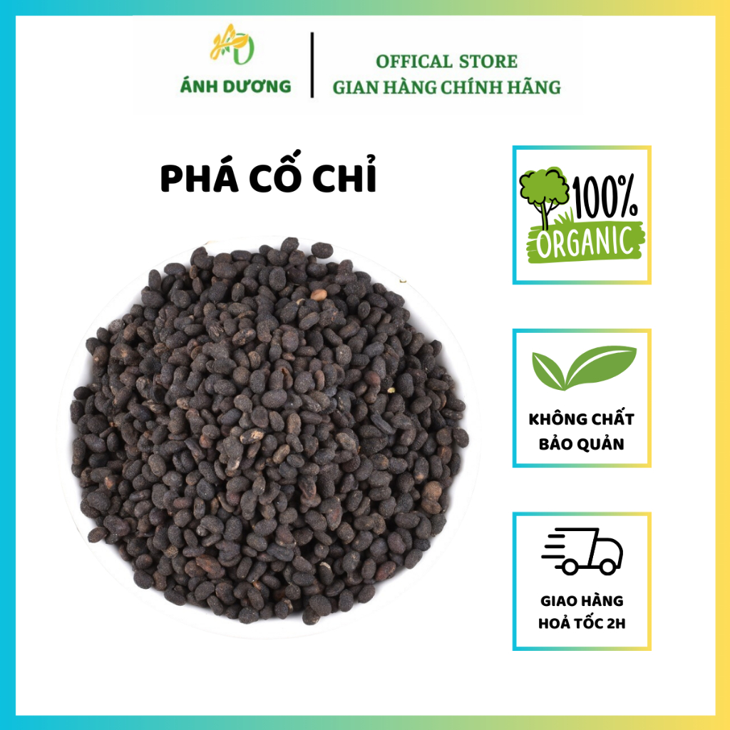 500GR Phá Cố Chỉ ( Bổ Cốt Chỉ ) Khô Hàng Loại 1