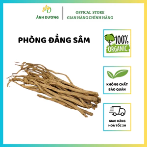 250GR Phòng Đẳng Sâm ( Khô, Đẹp ) Hàng Loại 1