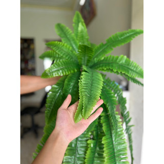 Cây dương xỉ đại ( bụi rủ dương xỉ) cỡ lớn decor tường cỏ - Cây hoa giả