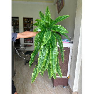 Cây dương xỉ đại ( bụi rủ dương xỉ) cỡ lớn decor tường cỏ - Cây hoa giả